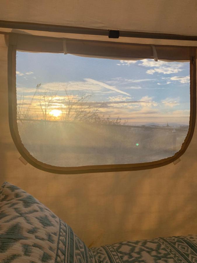 Silver Spur Homestead トゥームストーン エクステリア 写真